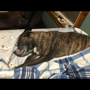 Meet your Posher, Orlando